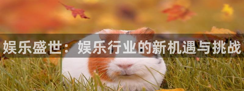 杏宇