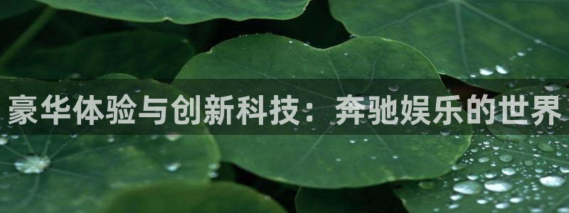 杏宇代理