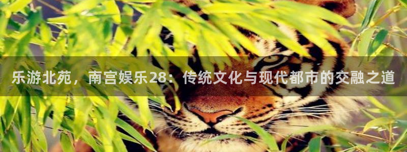 杏宇娱乐