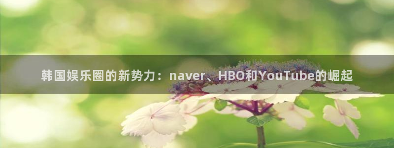 杏宇代理