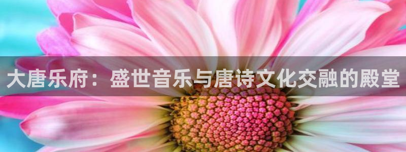 杏宇娱乐